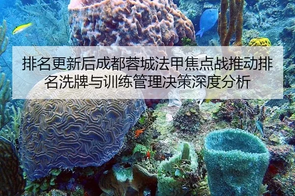 pai-ming-geng-xin-hou-cheng-du-rong-cheng-fa-jia-jiao-dian-zhan-tui-dong-pai-ming-xi-pai-yu-xun-lian-guan-li-jue-ce-2-812.jpg