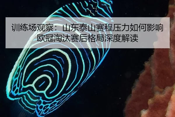 训练场观察：山东泰山赛程压力如何影响欧冠淘汰赛后格局深度解读
