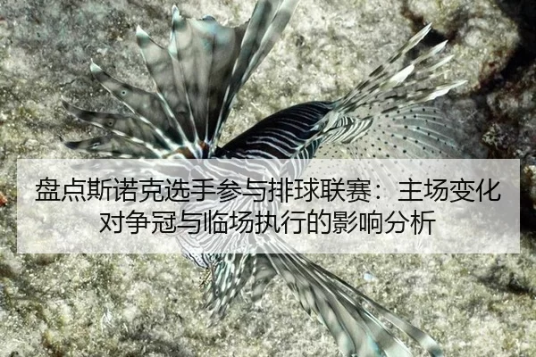 盘点斯诺克选手参与排球联赛：主场变化对争冠与临场执行的影响分析